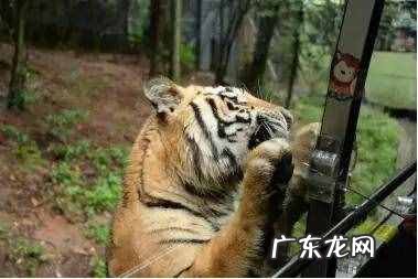 碧峰峡风景区好耍不 碧峰峡旅游攻略自驾