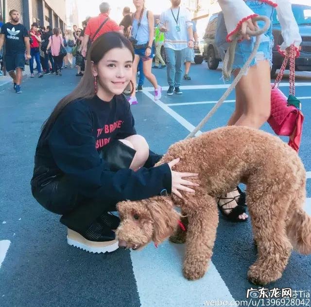 娱乐圈的“整容狂魔”有哪些?