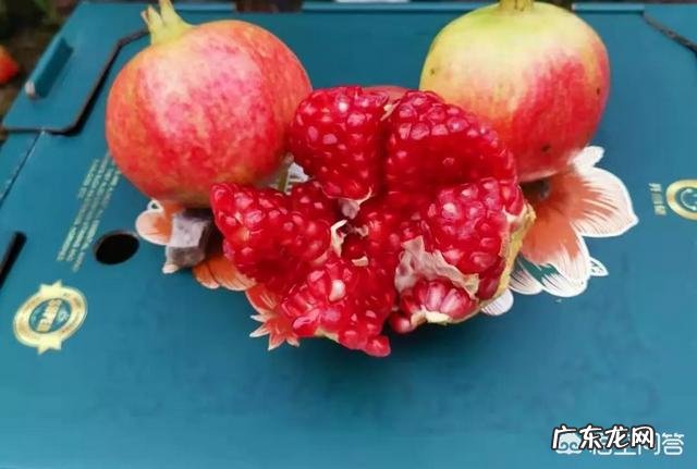 软籽石榴有何营养价值?