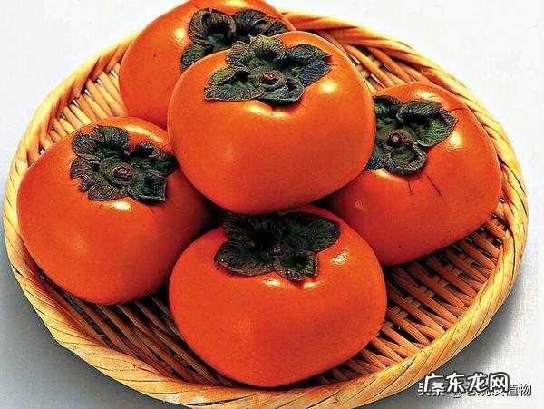 吃柿子有什么好处?