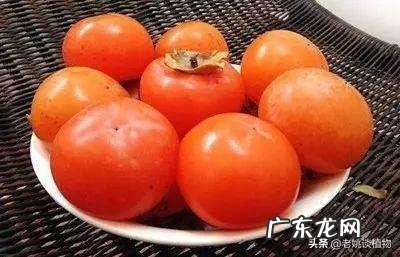 吃柿子有什么好处?