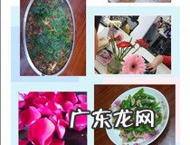 vivo手机怎么拼图相片 你学会了吗