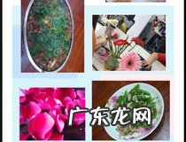 vivo手机怎么拼图相片 你学会了吗