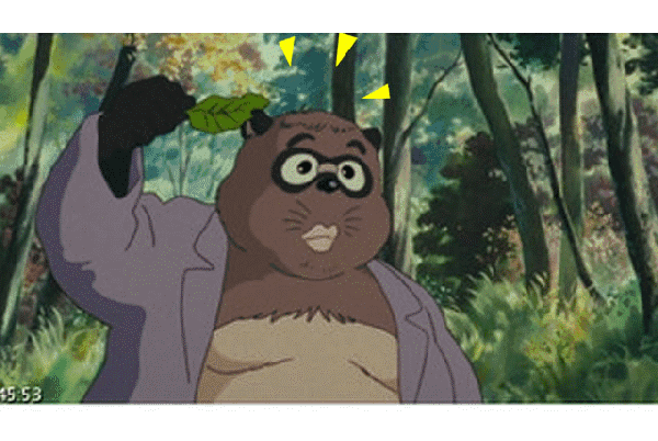 青丘狐传说配音演员表介绍 青丘狐传说演员表全部