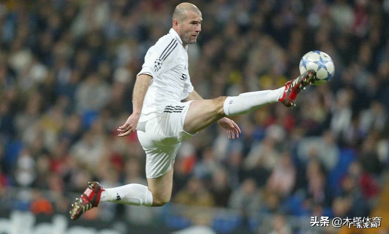 关于梅西的介绍 梅西简介50字