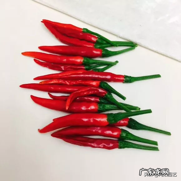 室内风水宝地当属“小阳台” 家里阳台种葱风水好吗