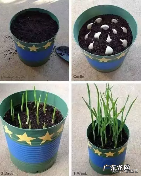 室内风水宝地当属“小阳台” 家里阳台种葱风水好吗