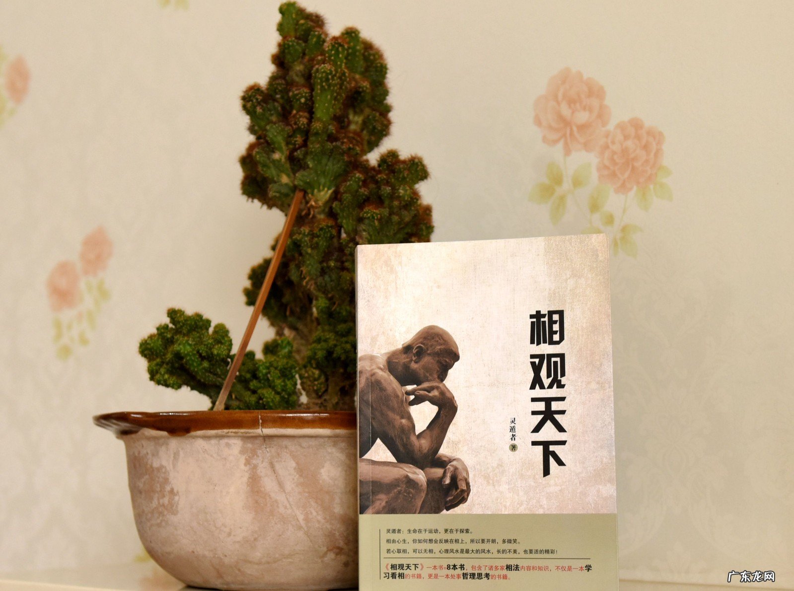 关于梦想的金句 关于梦想的名言