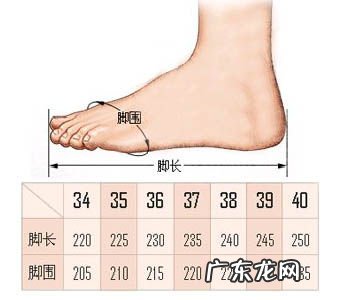 欧洲鞋码与中国对照表 美国鞋码和中国对照表