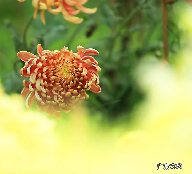 聚散终有时,后会亦有期 聚散终有时,后会亦有期