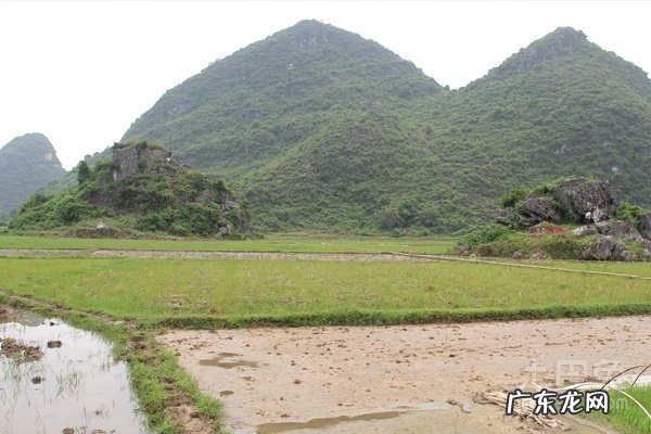阴宅阳宅风水知识介绍 阳宅门口对阴宅风水