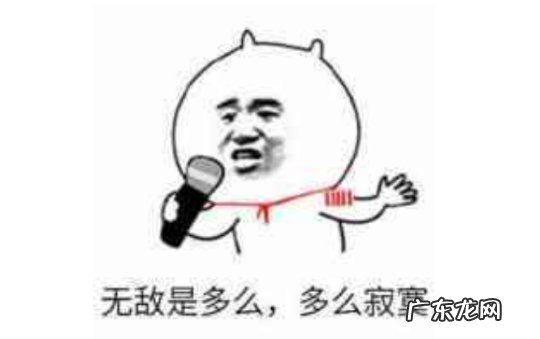 wcgc 2010wcgig日本