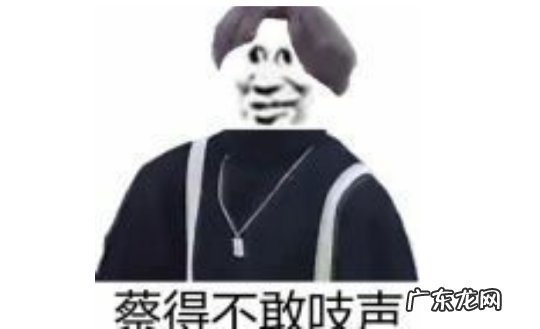 wcgc 2010wcgig日本