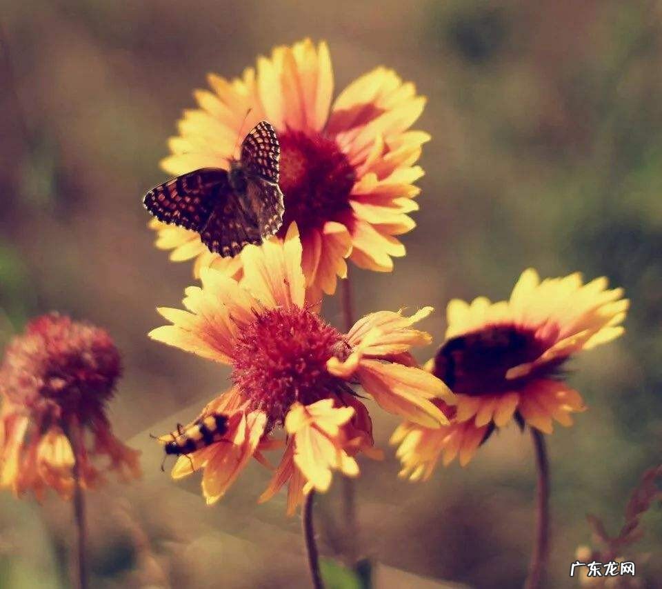 美好的一天正能量句子