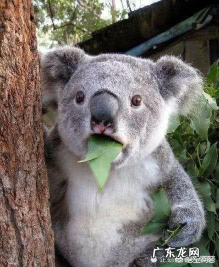 有哪些笑死人的歪理分享?