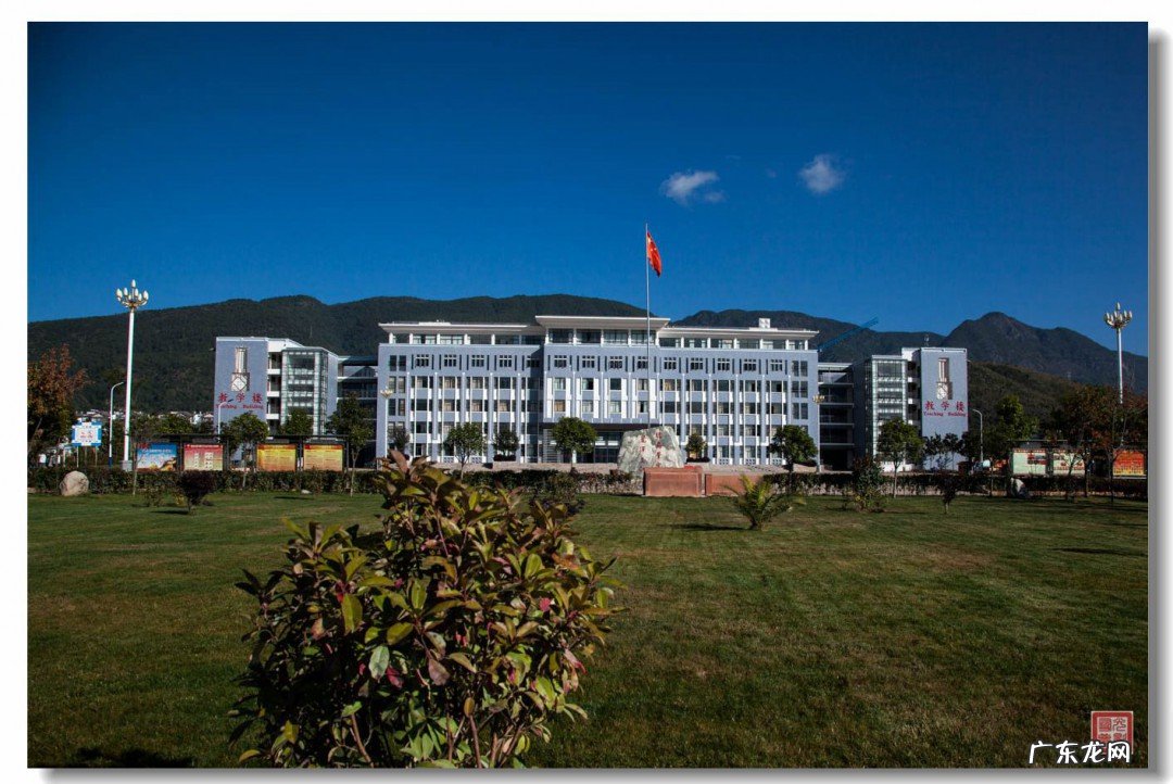 专科为啥叫专科