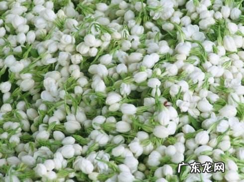 很多女性的斑看起来不一样,斑分几种?