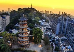 乌塔读后感300字