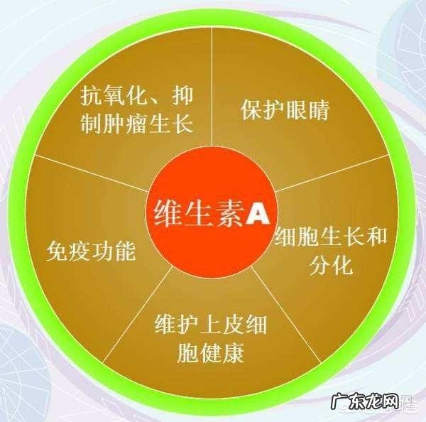 维生素A的作用有哪些?