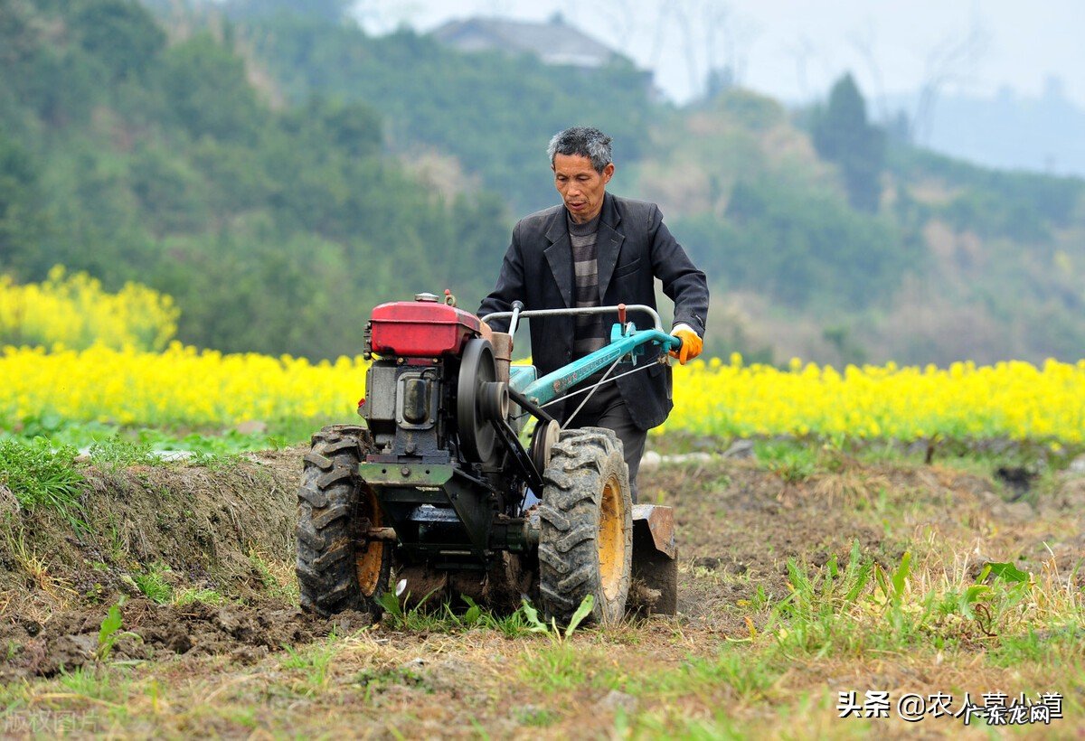 国家的农业补贴政策 国家农业补贴标准