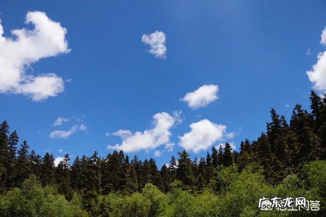 清明节摄影有什么要注意的吗?