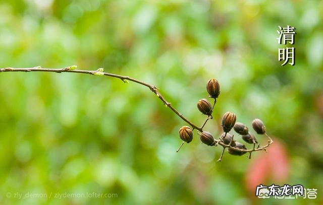 清明节摄影有什么要注意的吗?
