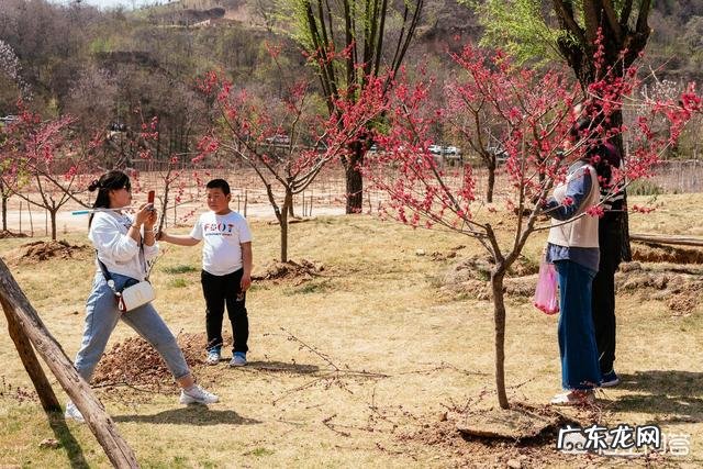 清明节摄影有什么要注意的吗?