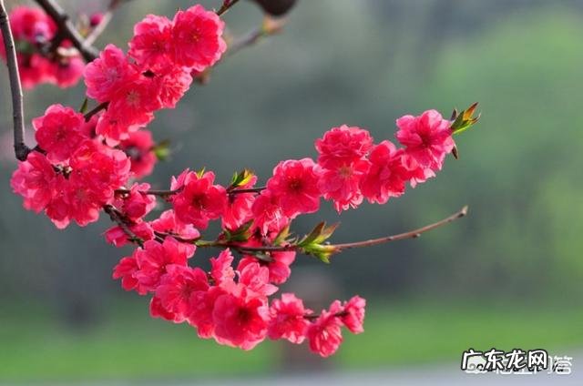 清明节摄影有什么要注意的吗?