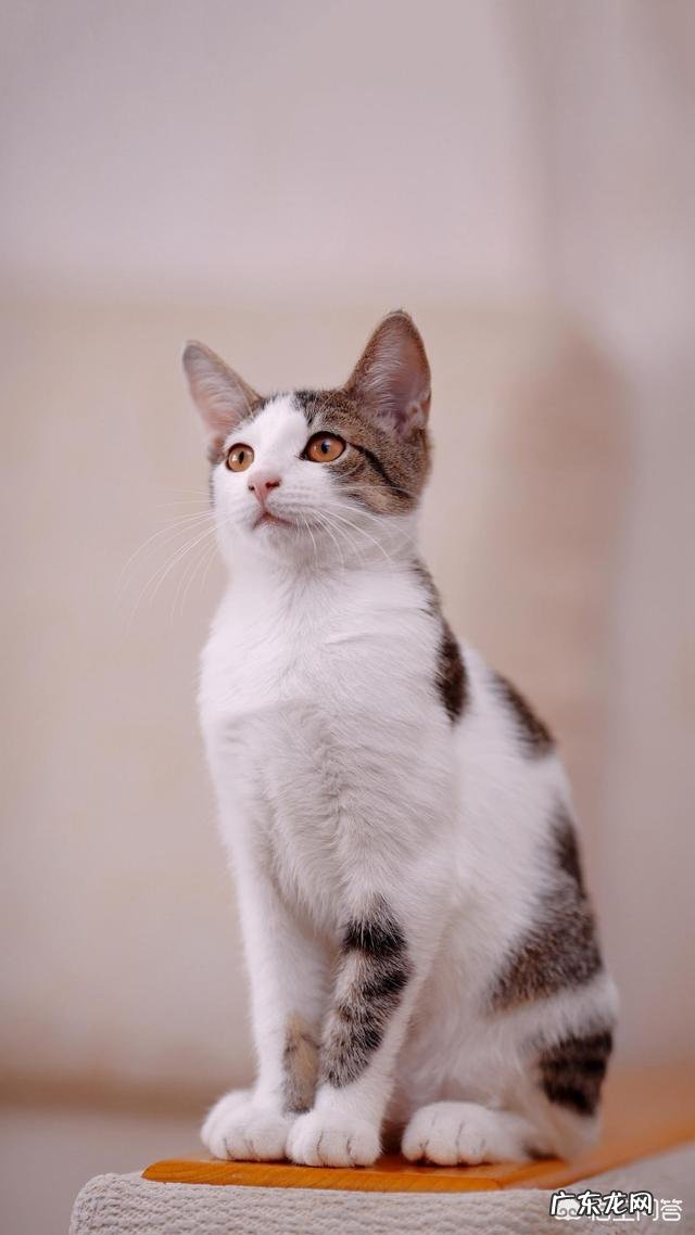 一个人开车旅行到底是什么感受,不孤独吗?