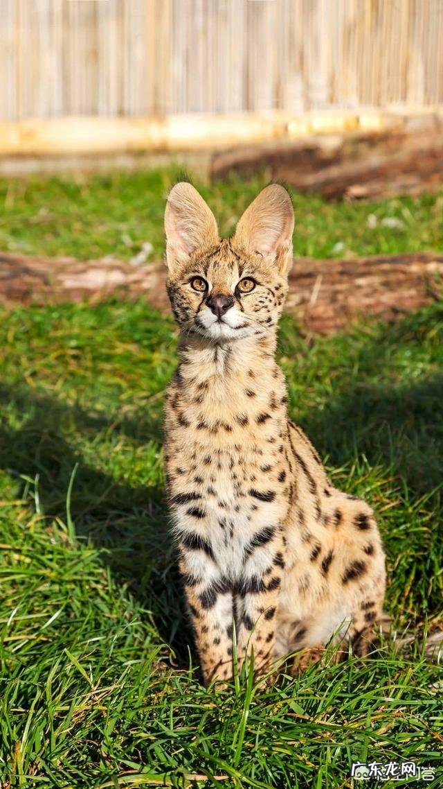 一个人开车旅行到底是什么感受,不孤独吗?