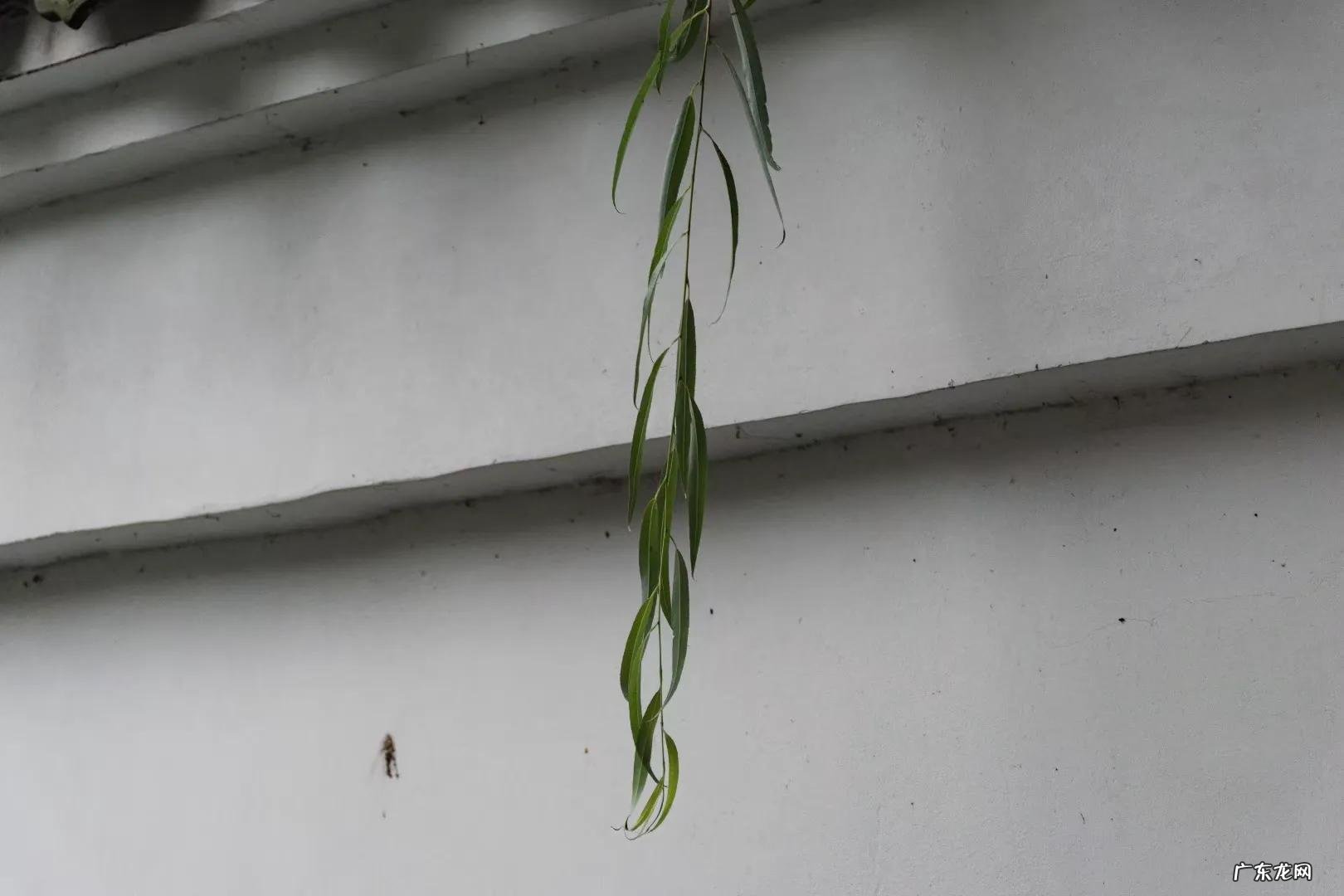 如何描写古代建筑物 怎么描写古代建筑