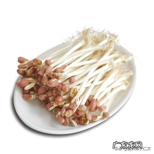 春天了，适合吃什么菜呢？有什么好的做法推荐呢？