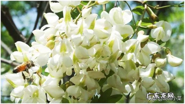 春天了，适合吃什么菜呢？有什么好的做法推荐呢？