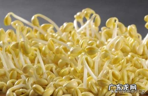 春天了，适合吃什么菜呢？有什么好的做法推荐呢？