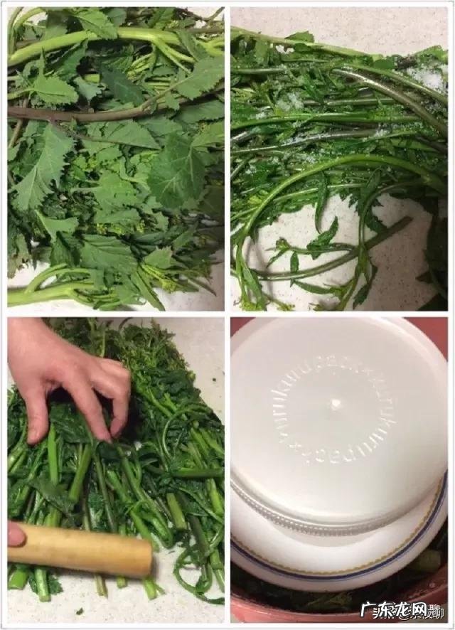 春天了,适合吃什么菜呢?有什么好的做法推荐呢?