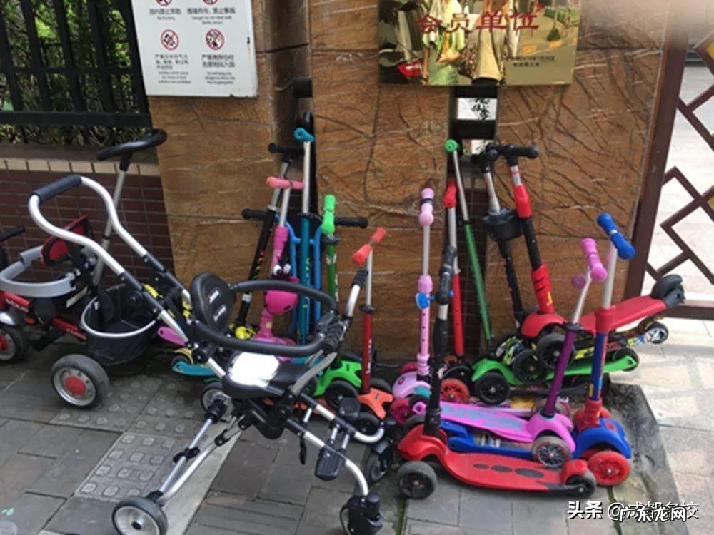 宋庆年龄幼儿园