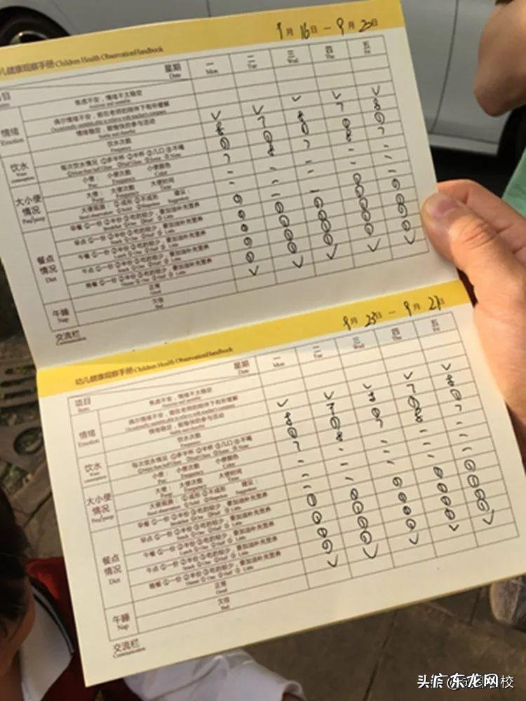 宋庆年龄幼儿园