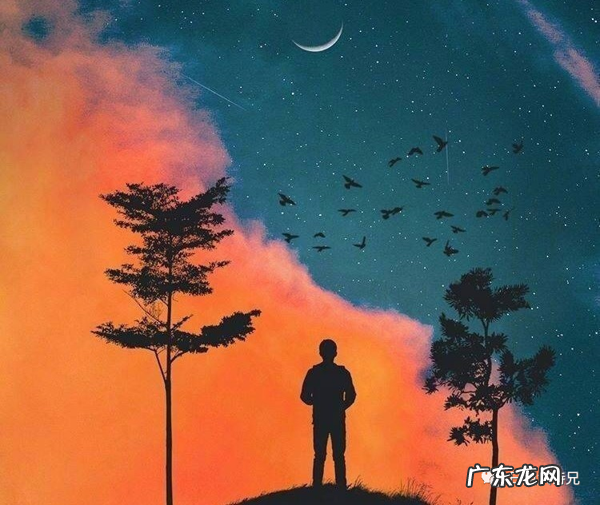 梦里寻它千百度 梦里寻他千百度是什么意思?