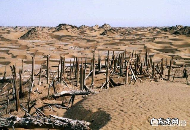 “五星出东方利中国”怎么解释,意味着什么?