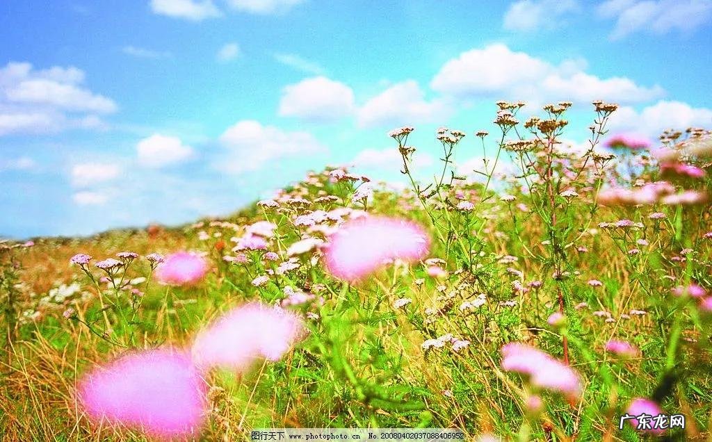 乐滋滋怎么写 乐滋滋造句子