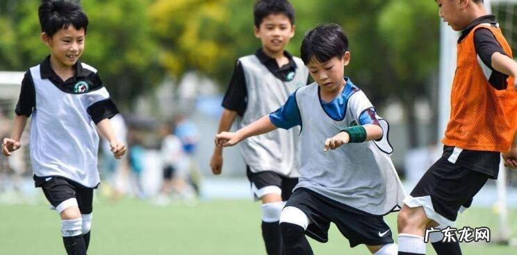 体育锻炼的原则和方法