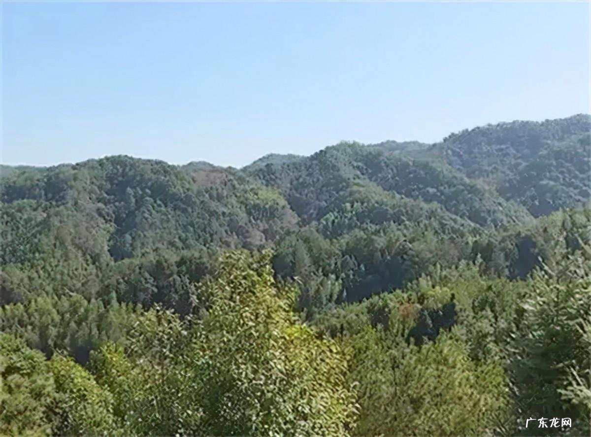 坟上放什么破坏风水 借地质勘探破坏风水违法吗