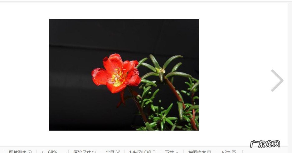 电影那一朵小红花剧情