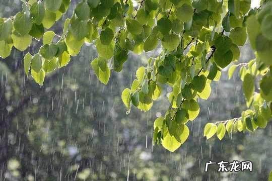 小学语文知识:含有“雨”的成语 关于雨的成语有哪些?