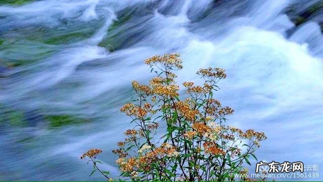 母亲节快到了,大家为母亲写首诗好吗?