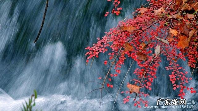 母亲节快到了,大家为母亲写首诗好吗?