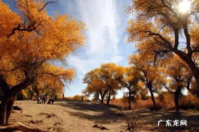 母亲节快到了,大家为母亲写首诗好吗?