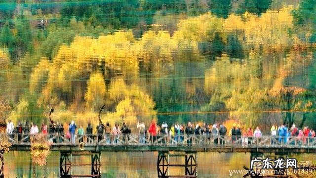 母亲节快到了,大家为母亲写首诗好吗?