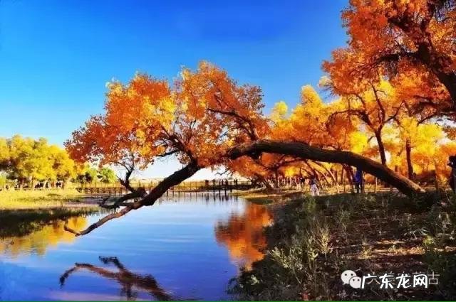 母亲节快到了,大家为母亲写首诗好吗?