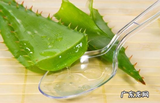 芦荟胶能去斑吗,祛斑的天然方法究竟有什么?